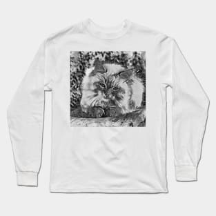 AnimalArtBW Cat 004 Long Sleeve T-Shirt